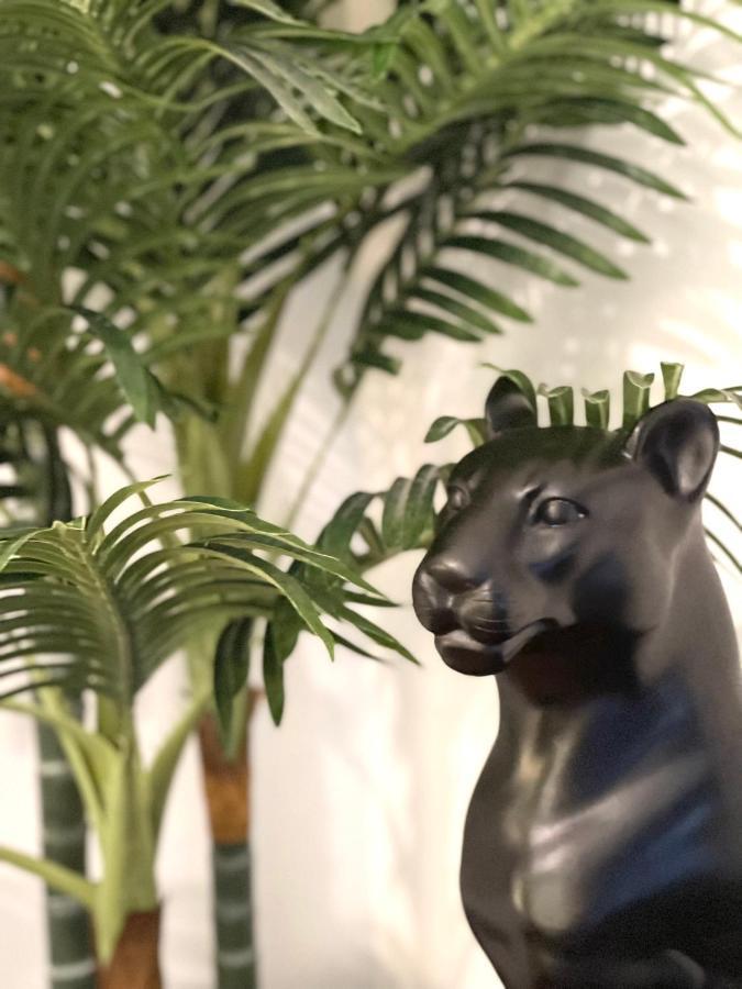 Le Troglo'Gite, 500M A Pied Du Zoo De Beauval Seigy Eksteriør billede